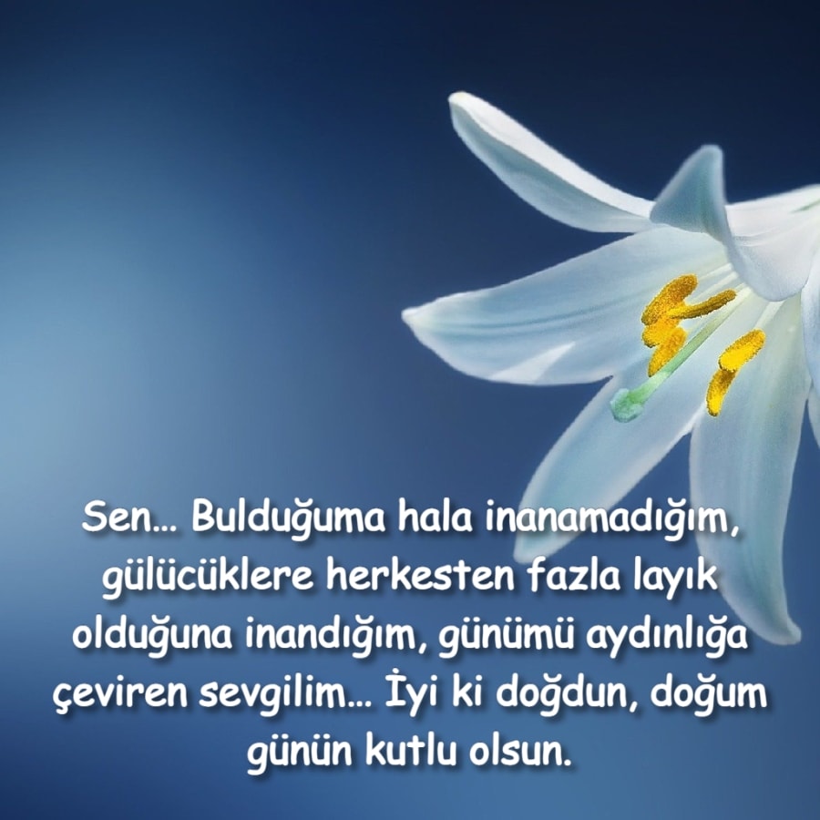 iyiki doğdun sevgilim
