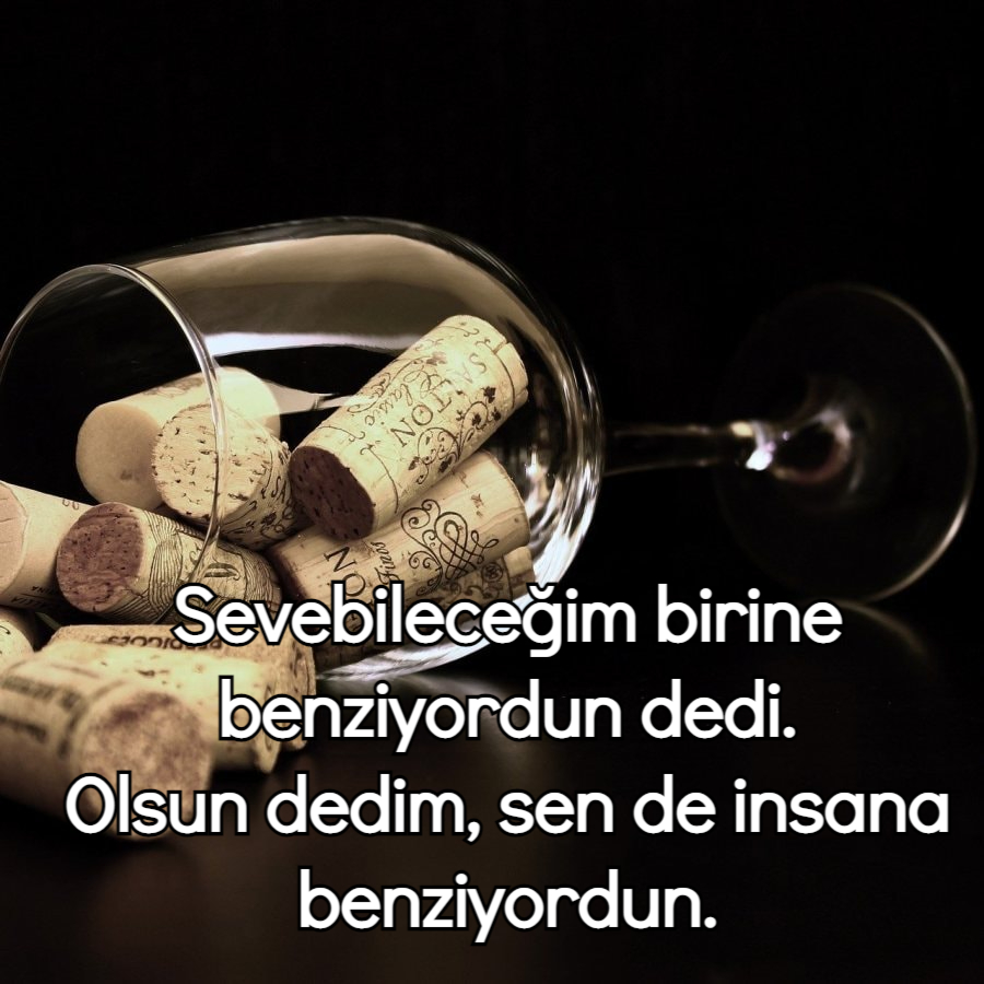 Kapak Sözler Laf sokucu