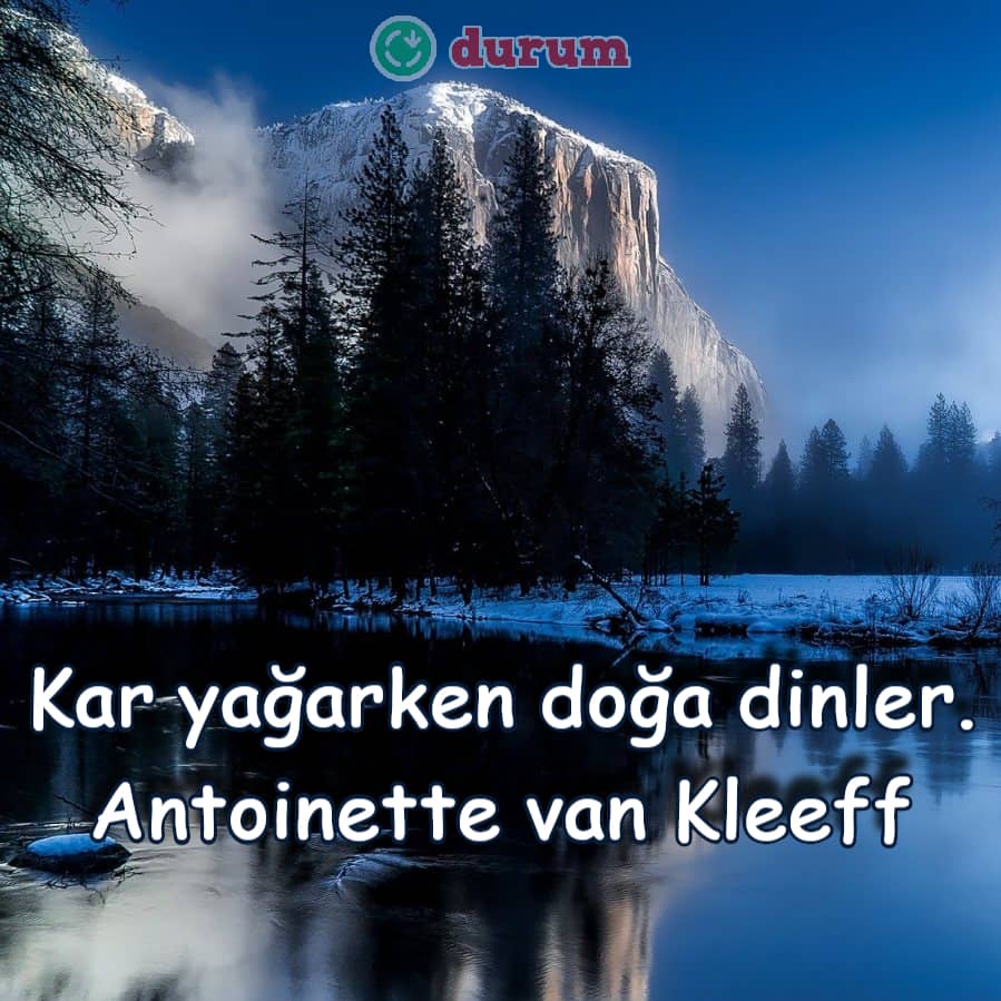 Kar manzaraları