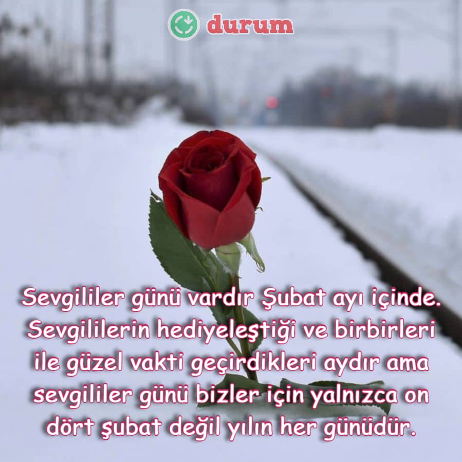 kar ve çiçek
