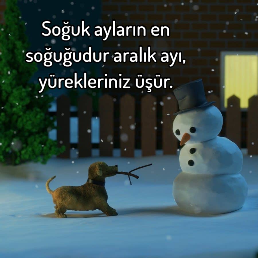 Kardan adam aralik ayi