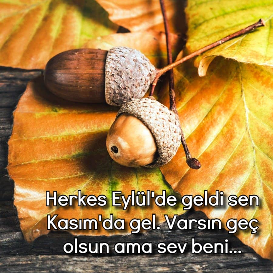 Kasım Ayı Sözler