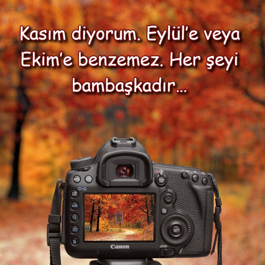 Kasım Ayı yazılı resimler