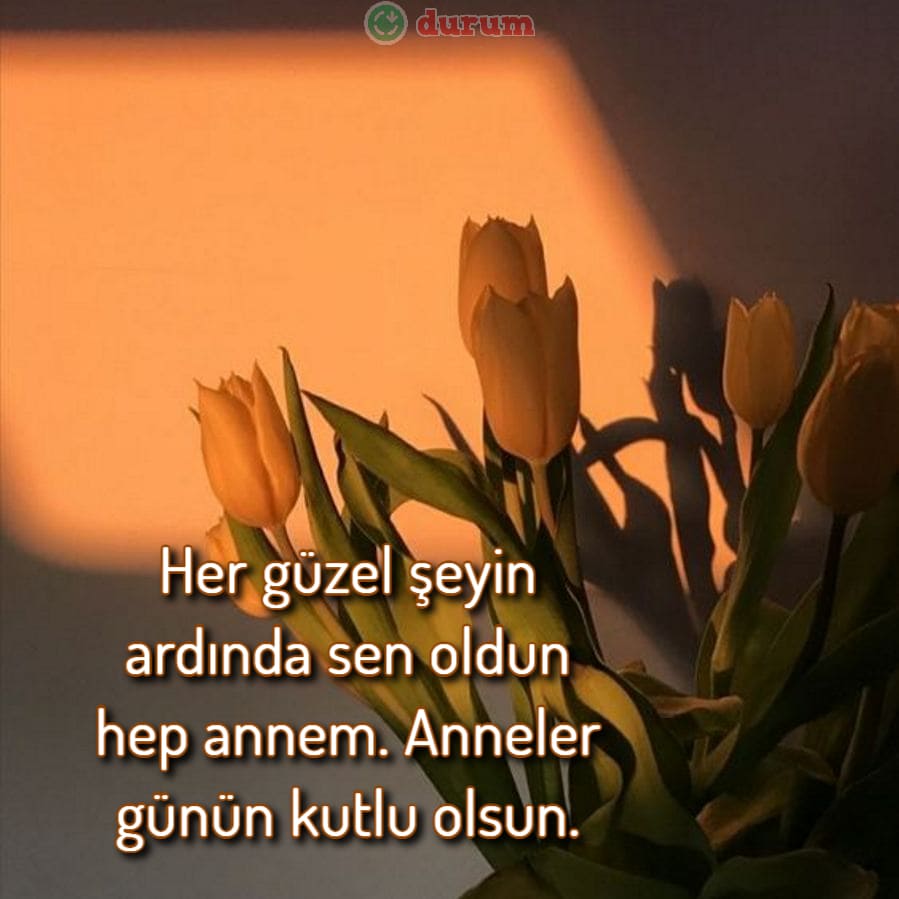 Kaynanaya Anneler Günü Mesajları yeni