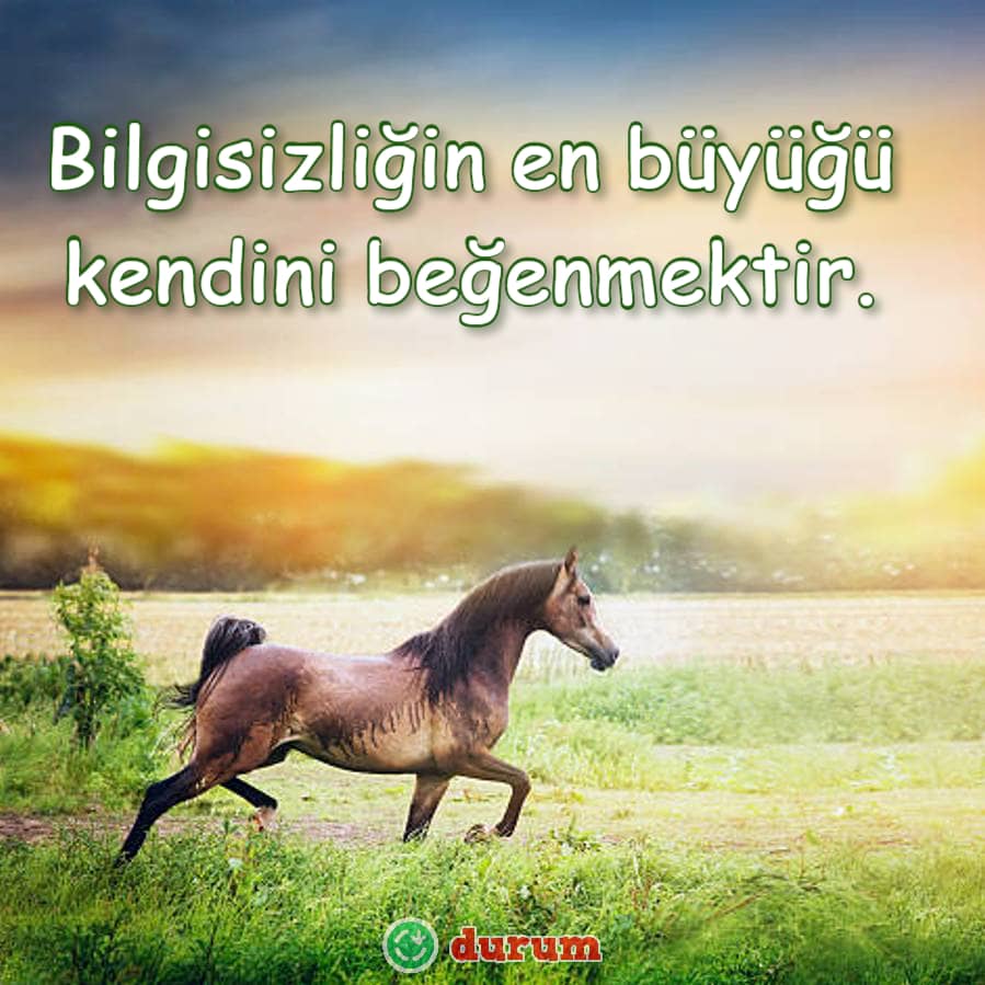 Kibir İle İlgili Sözler indir