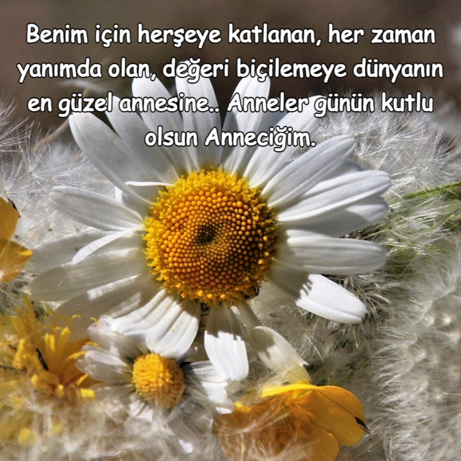 Kısa Anneler Günü Mesajları