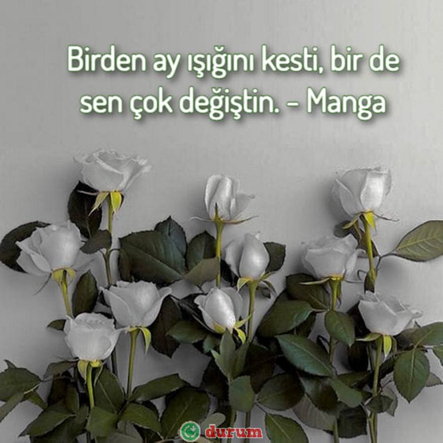 Kısa Şarkı Sözleri 2023