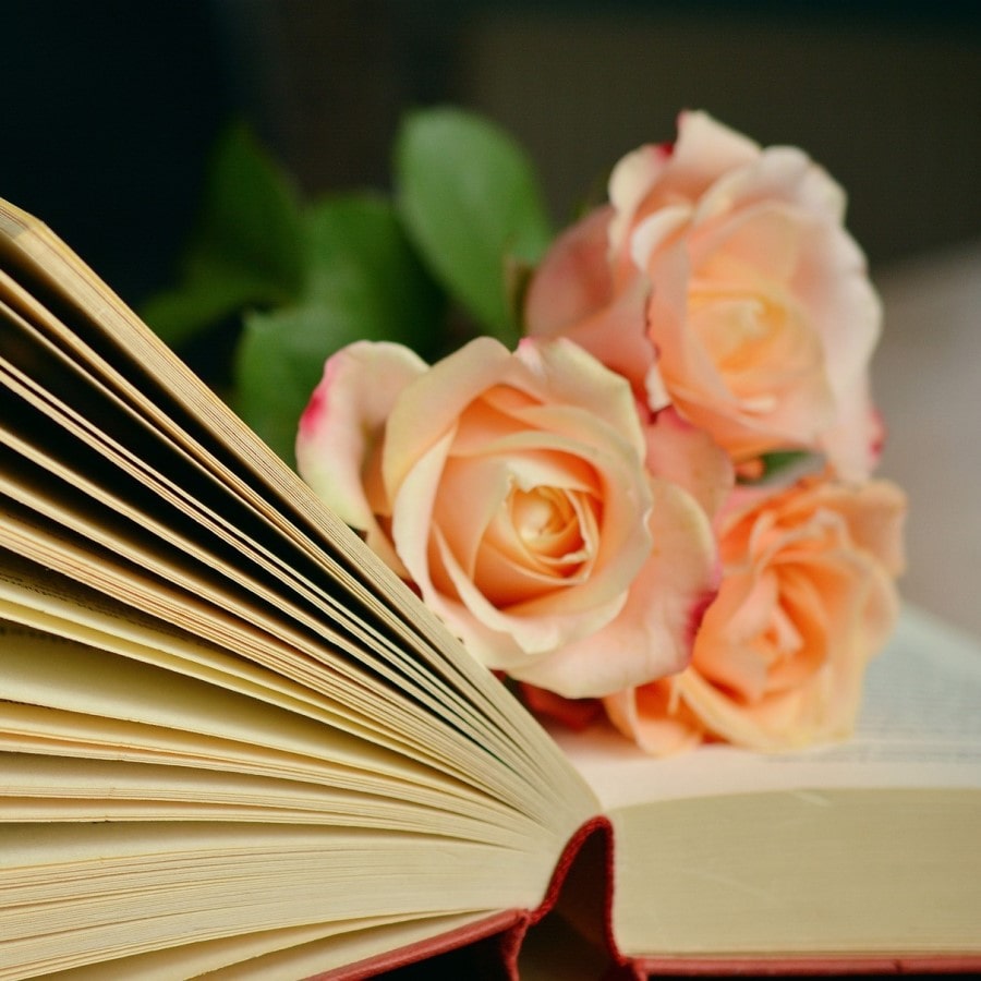 Kitap ve Çiçek Resimleri