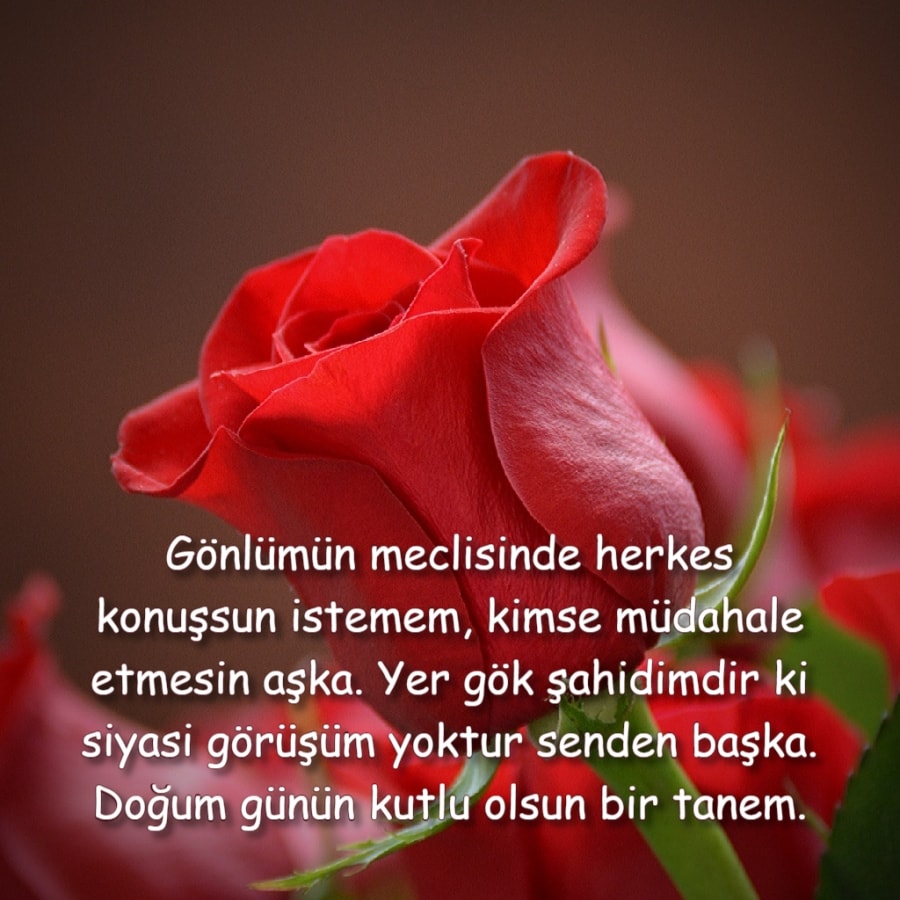 Kız arkadaşına en güzel doğum günü mesajı