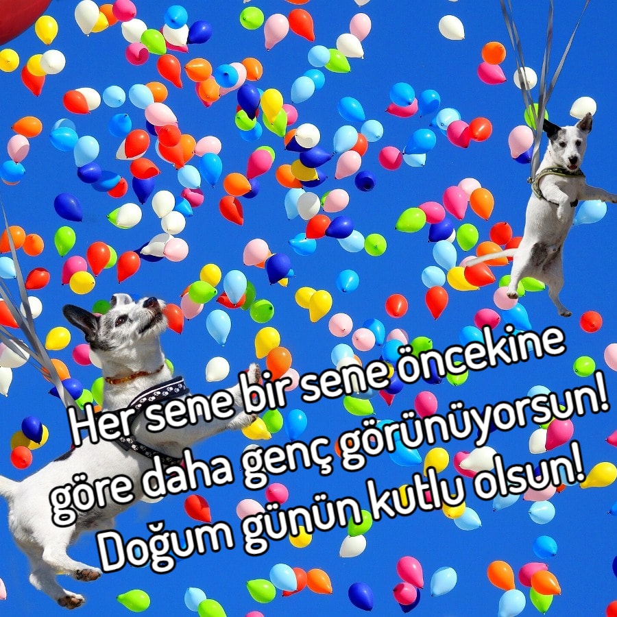 Komik Doğum Günü Sözleri