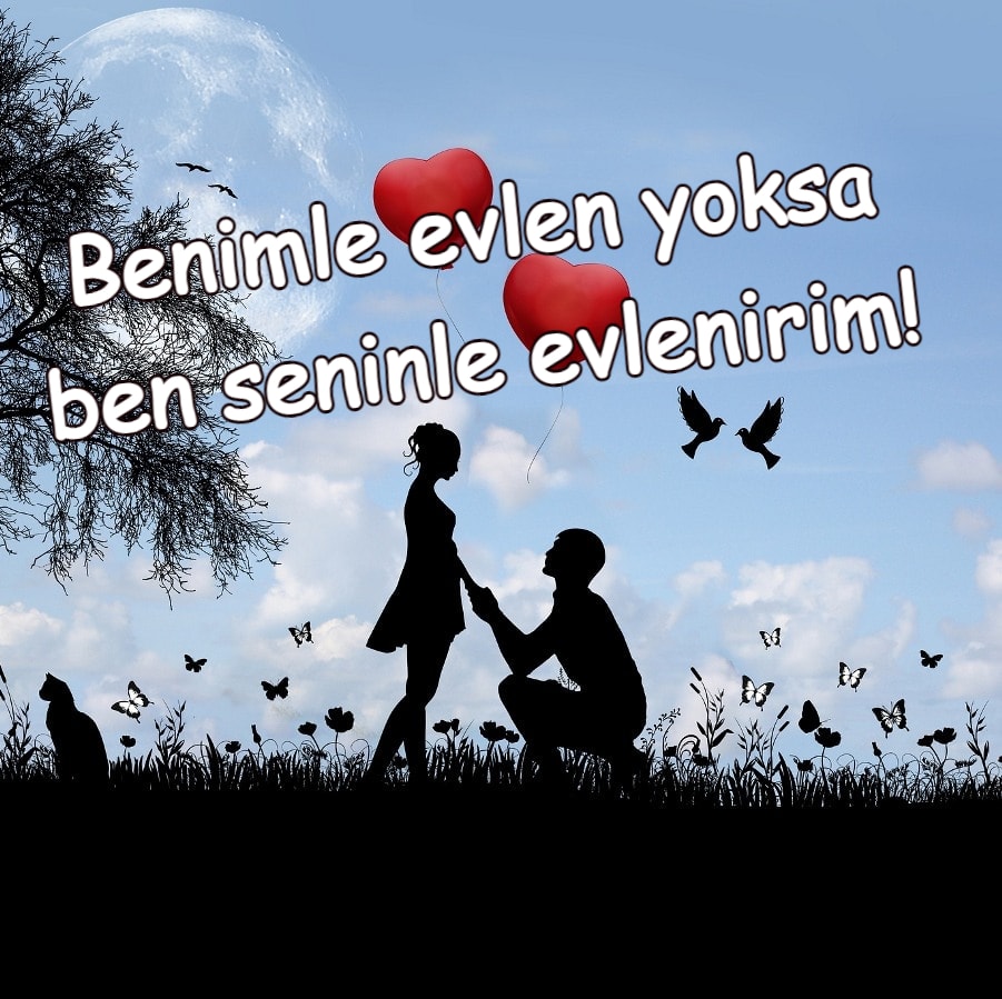 Komik evlilik teklifi