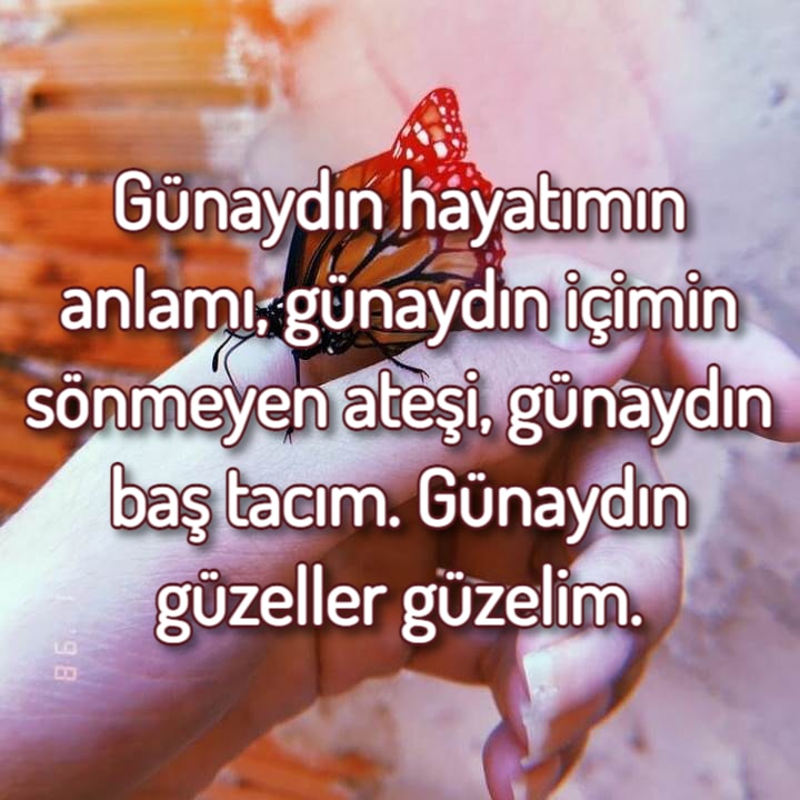 Komik Günaydın Mesajları