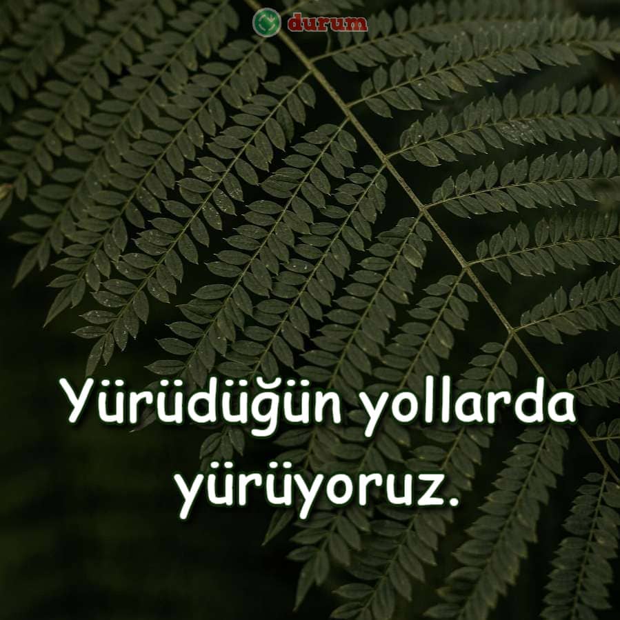 Komik Instagram Yorumları İndir