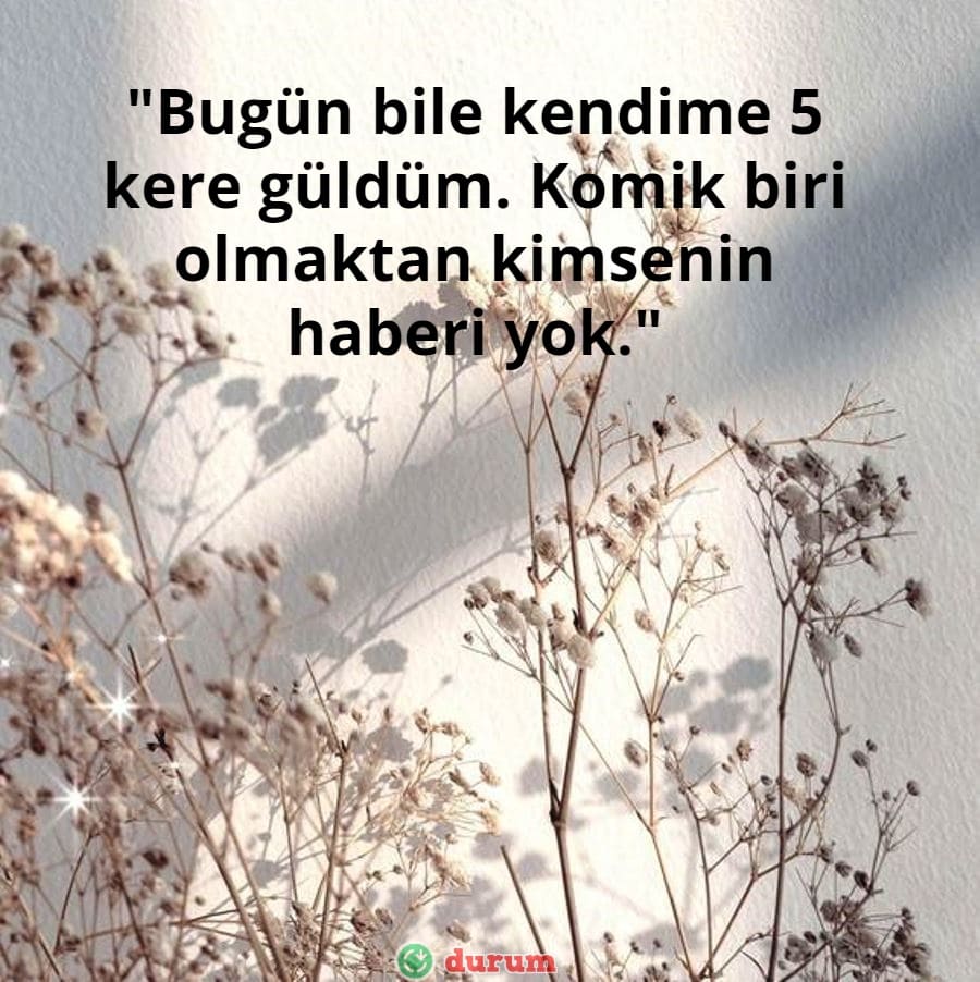 komik whatsapp durumlari kisa