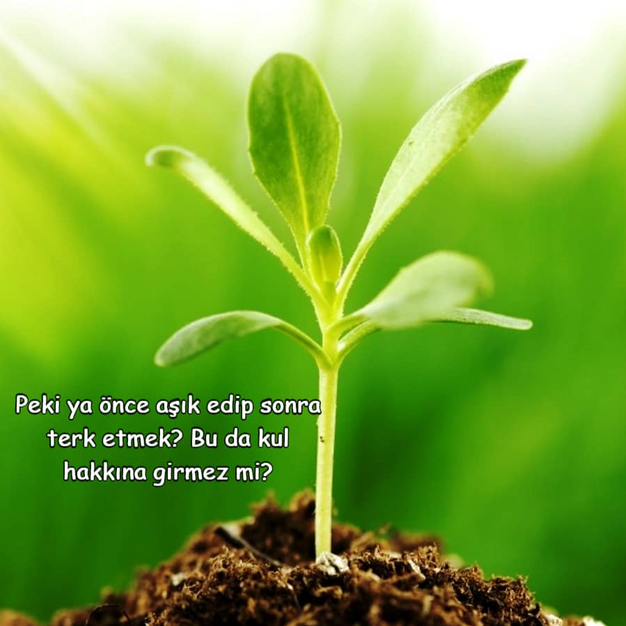 Kul Hakkı