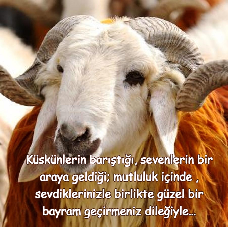 Kurban Bayramınız kutlu olsun