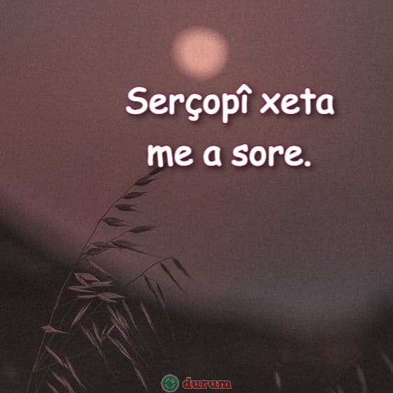 Kürtçe  Sözler Ve Anlamları