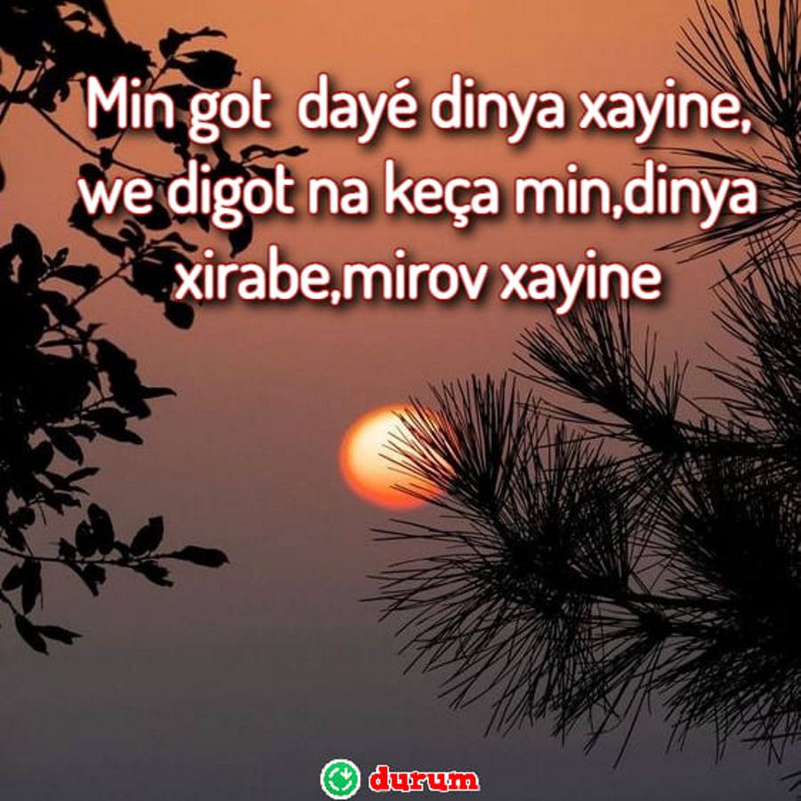 Kürtçe Damar Sözler anlamli
