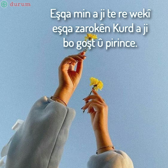 Kürtçe Komik Sözler guzel