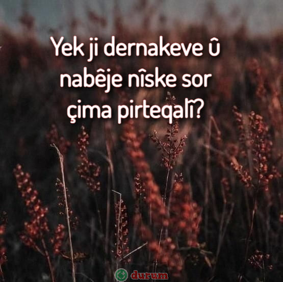 Kürtçe Komik Sözler yeni