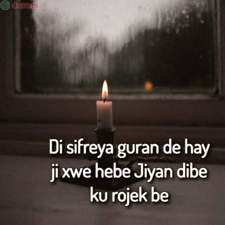 Kürtçe Resimli Sözler