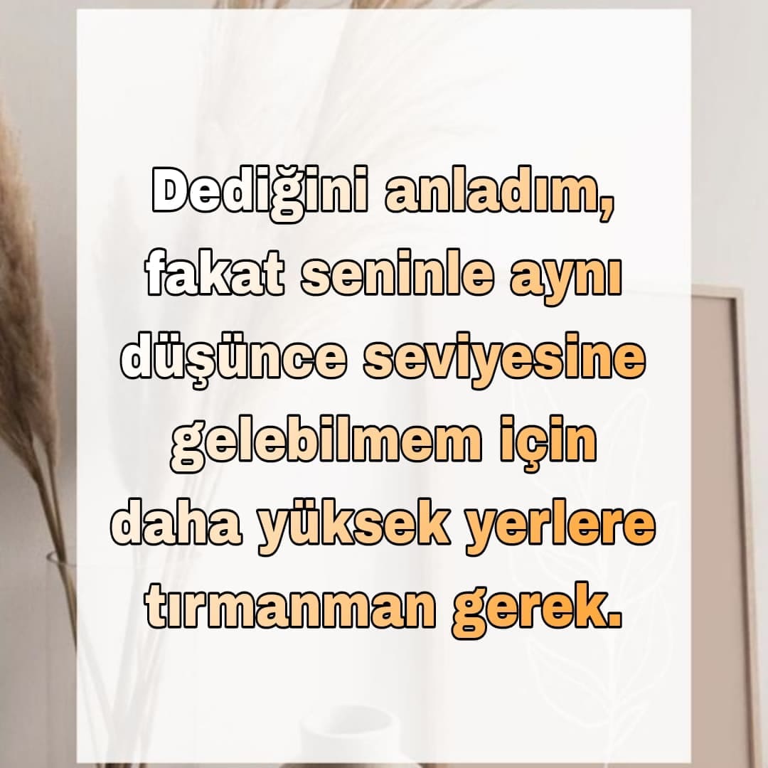 Laf Sokucu Söz