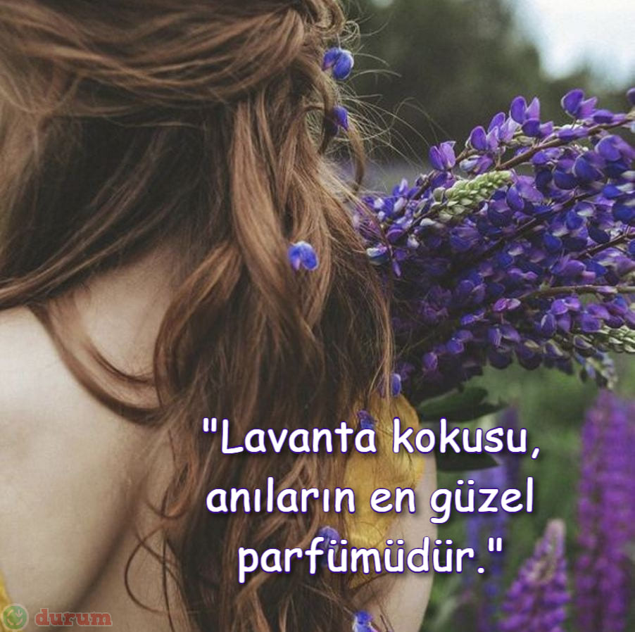Lavanta Sözleri 2023