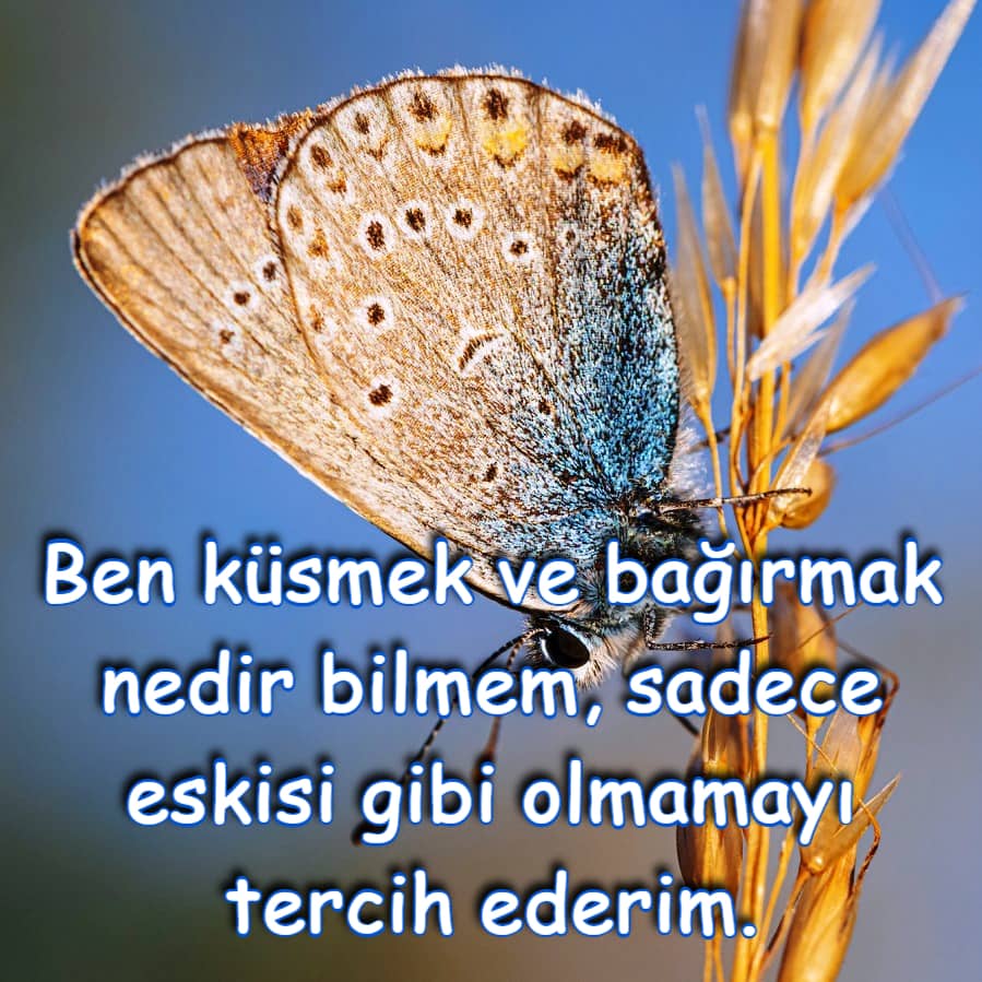 Manalı kısa sözler