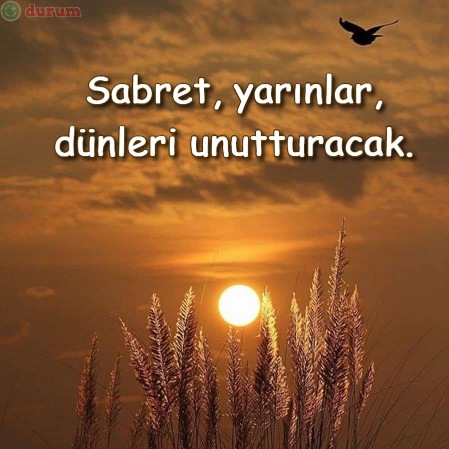 Mantıklı Sözler indir