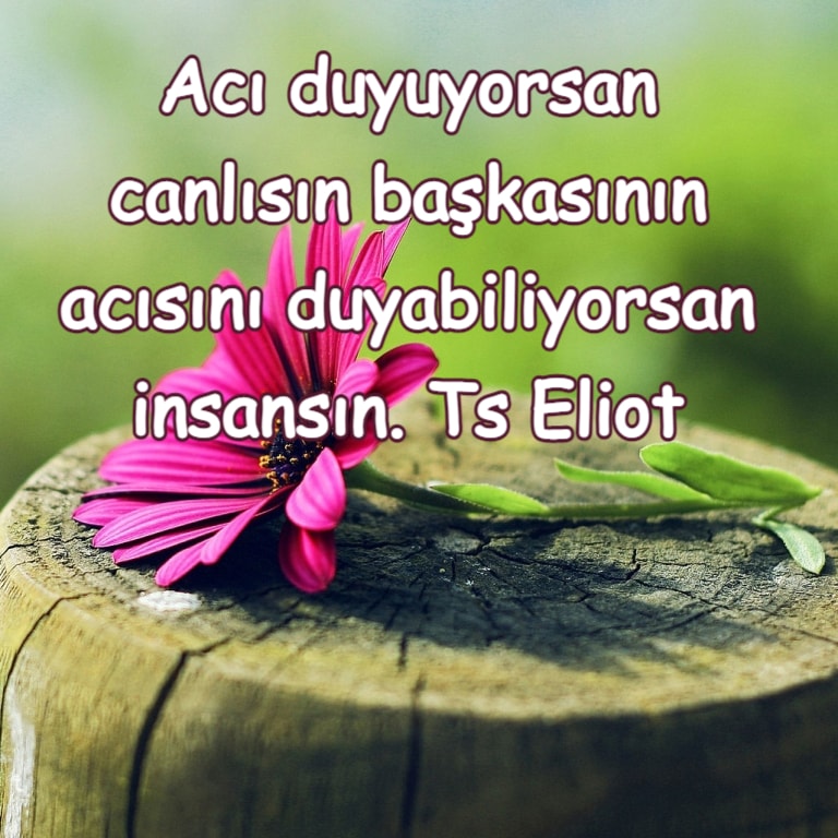 Mantıklı sözler yazılı resim indir