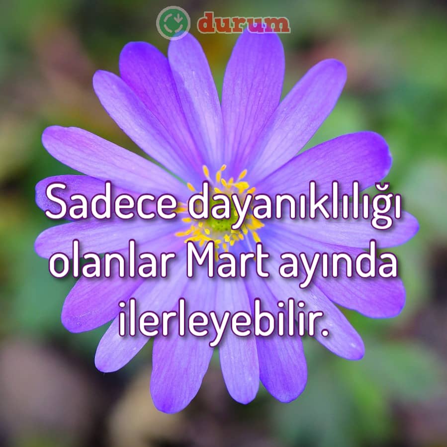 Mart ayı dert ayı ile ilgili cümleler