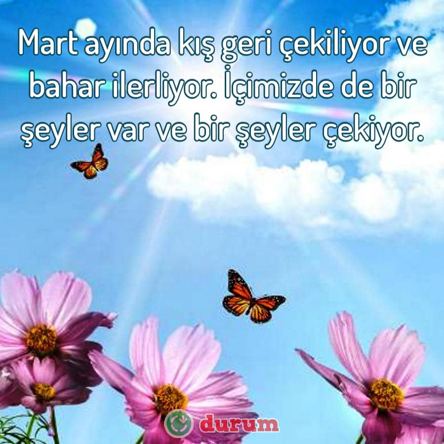 Mart Ayi Sözleri