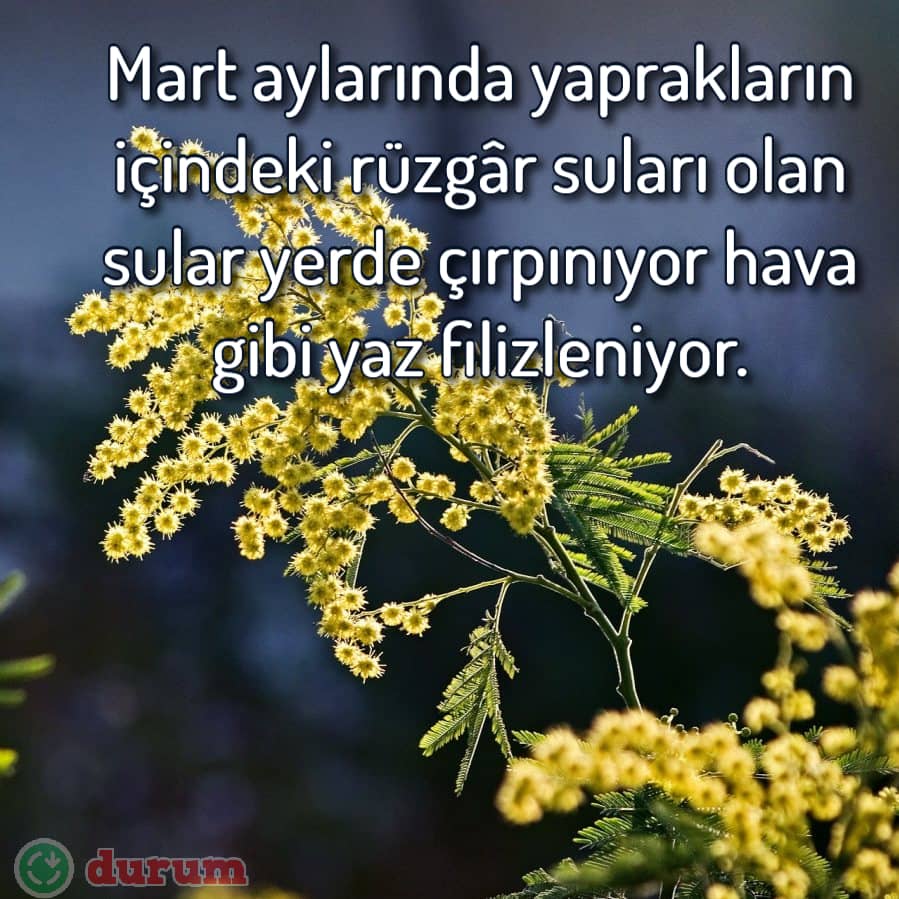 Mart ve cicekler