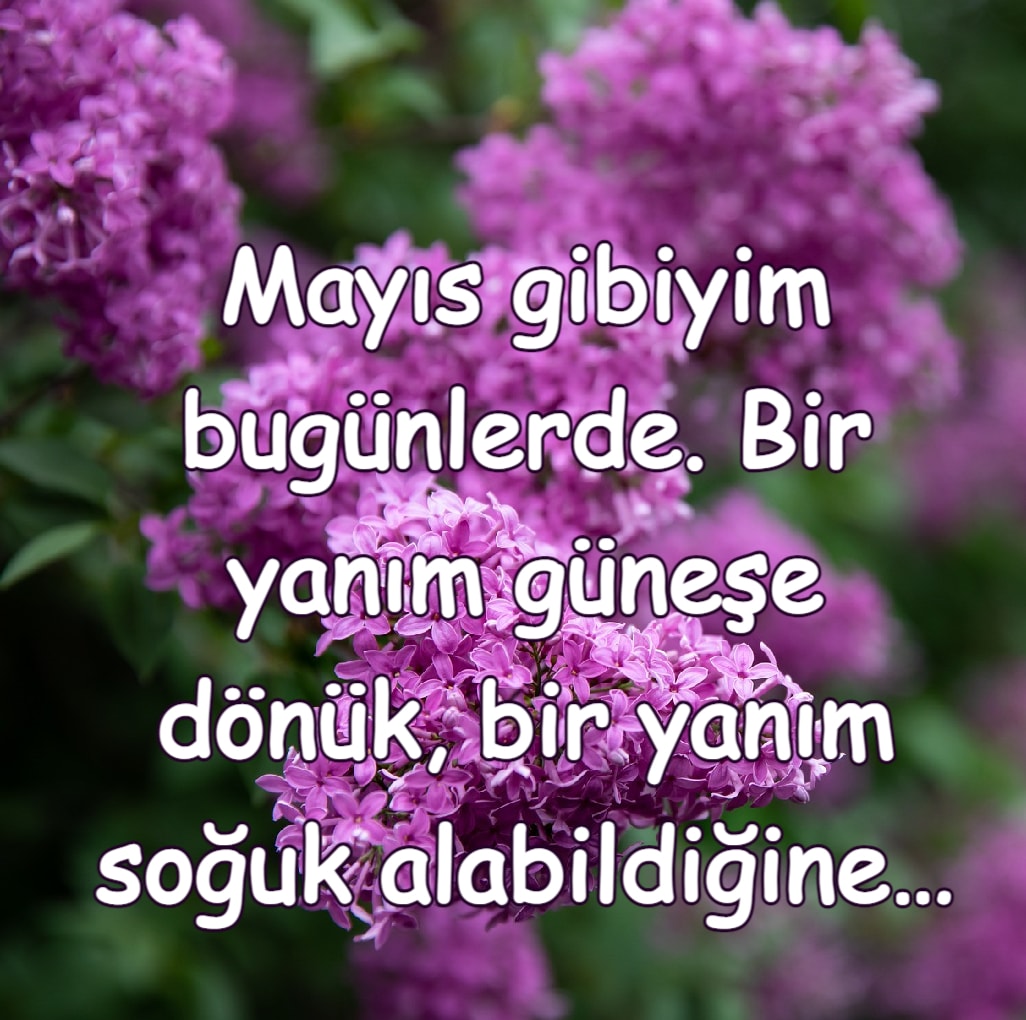 Mayıs Ayı ile İlgili Sözler yazılı resim