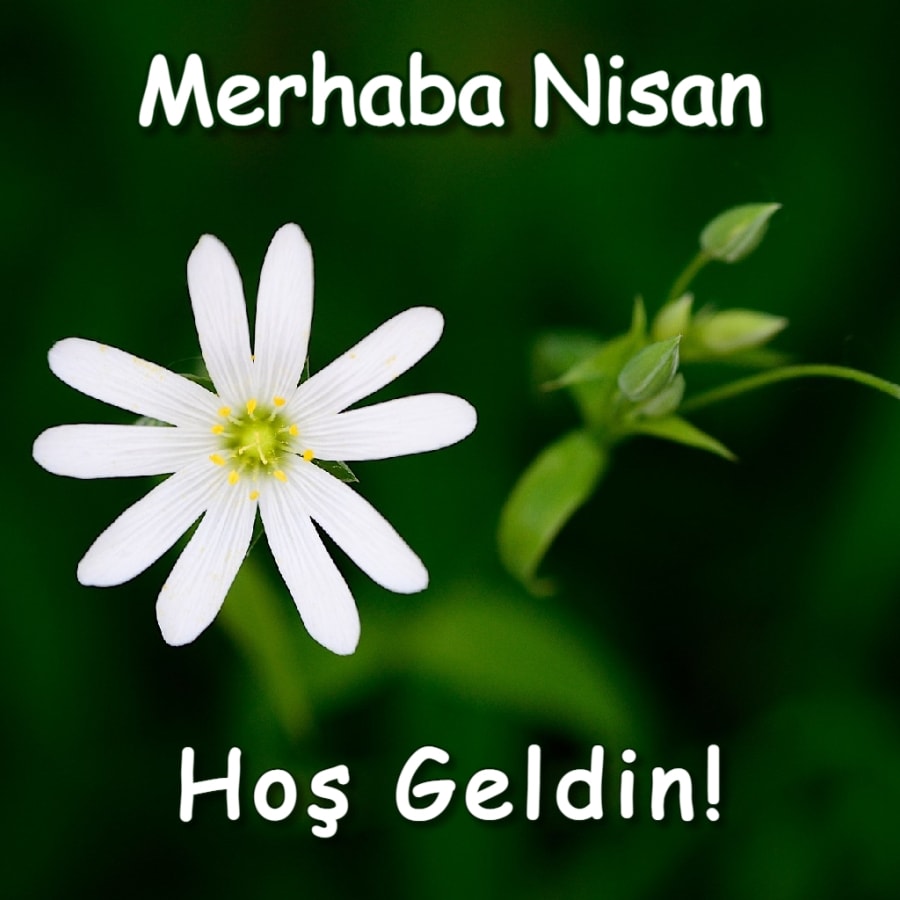 Merhaba Nisan