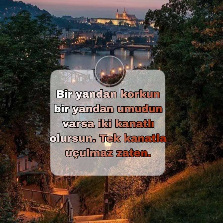 Mevlana Sözleri 2025