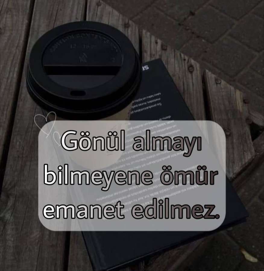 Mevlana Sözleri 2025