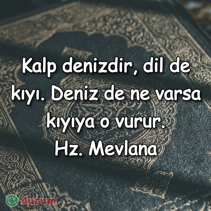Mevlana Sözleri whatsapp durum