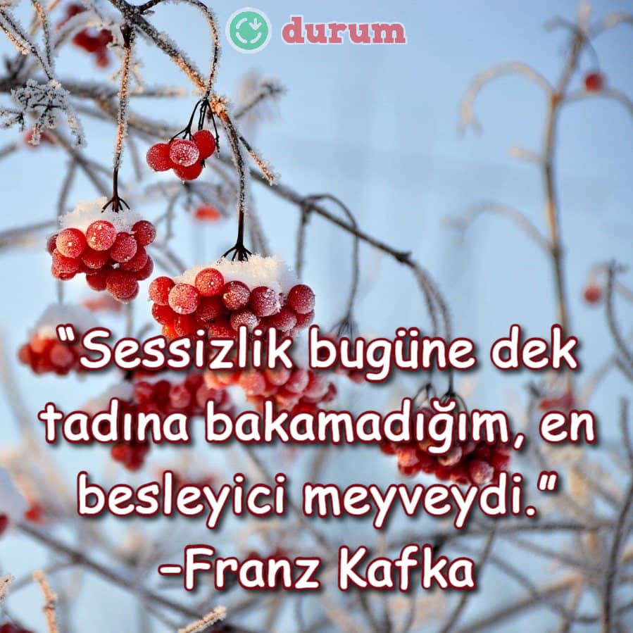 Meyve ile ilgili resimli sözler