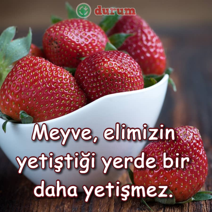 Meyve ile ilgili sözler 2025