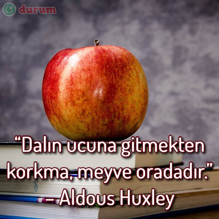 Meyve sözleri