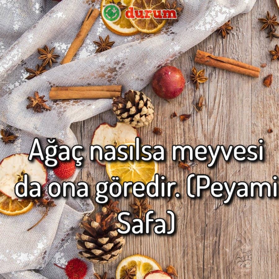 MEYVELER İLE İLGİLİ EN GÜZEL SÖZLER