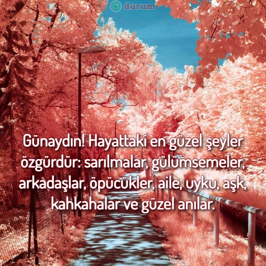 motive sozleri