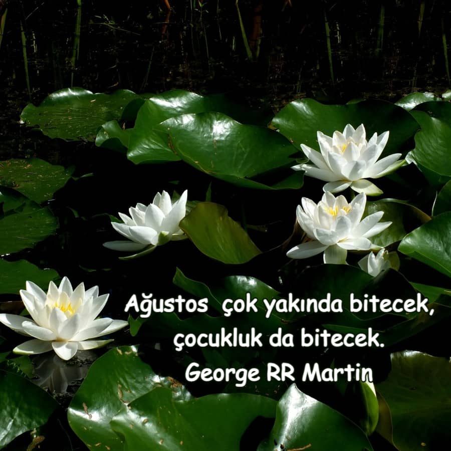 Mutlulukla ilgili ​​Ağustos Ayı Sözleri