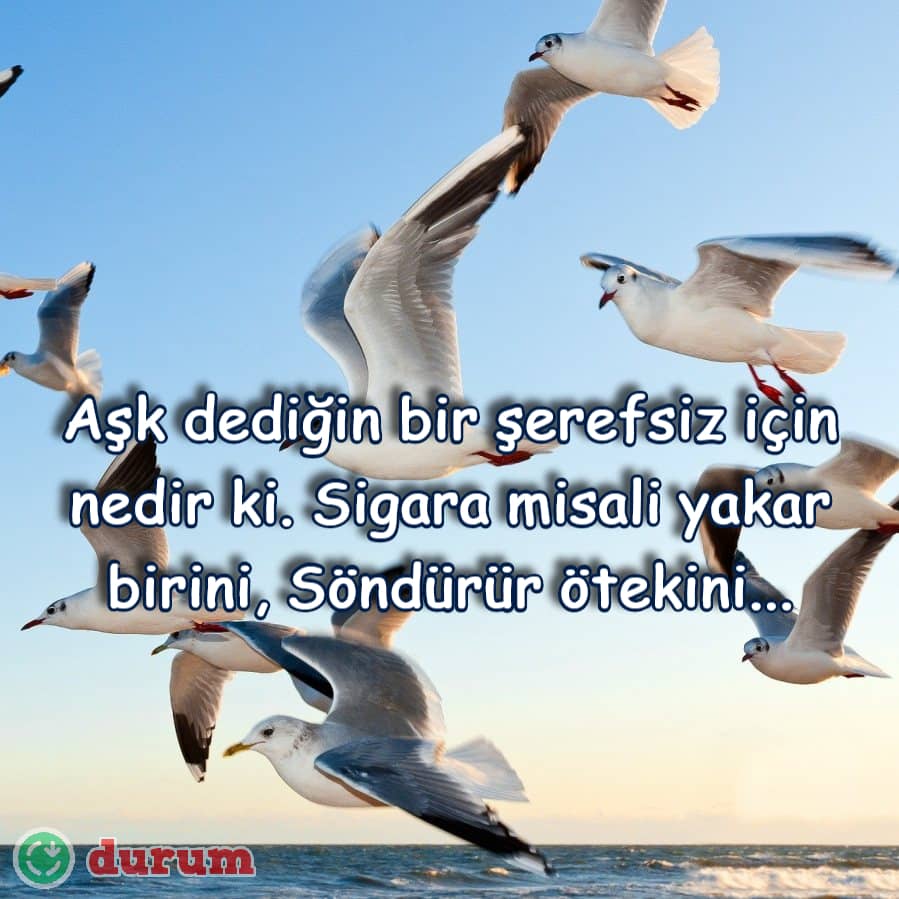 Namus ve Ahlakla İlgili Ayetler