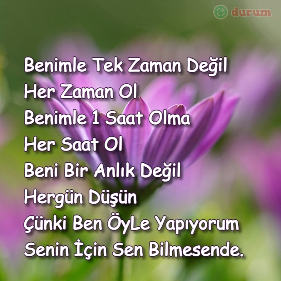 Nazım Hikmet Şiiri