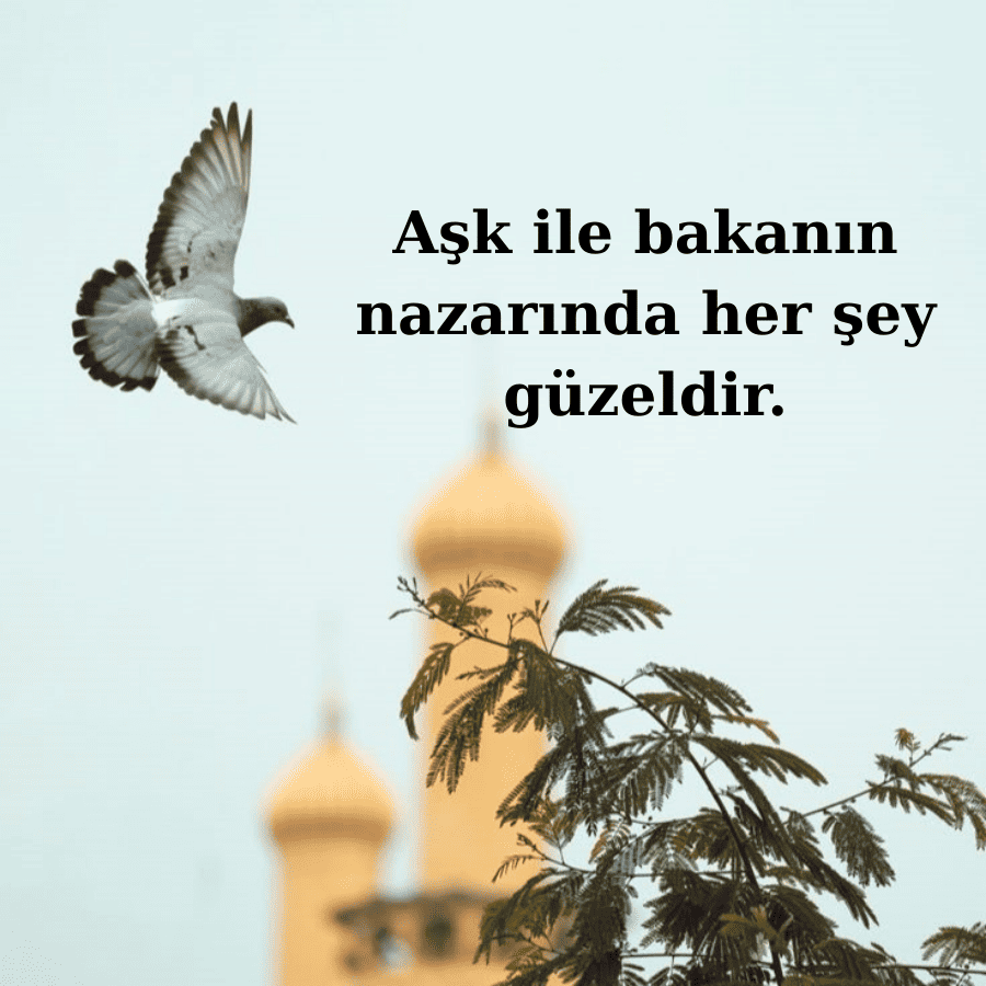 Neşet Ertaş’la Türkü Gibi Sözler
