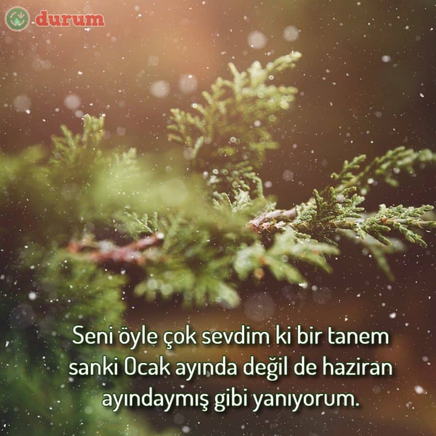 Ocak Ayı İle İlgili Aşk Sözleri