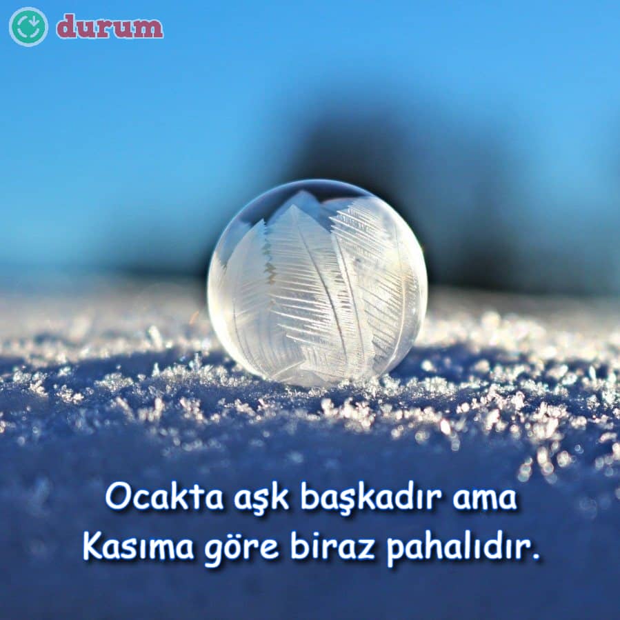ocak ayı resimli sözler