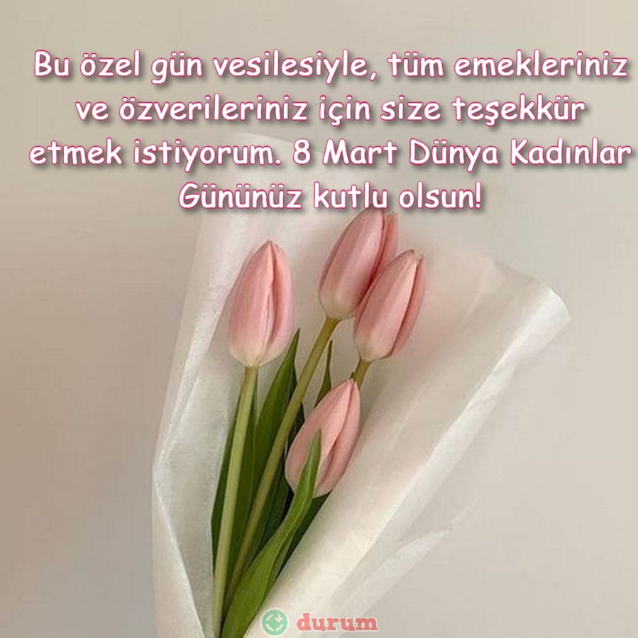 Öğretmene 8 mart tebrikleri anlamlı